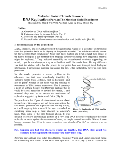 DNA Replication (Part 2)