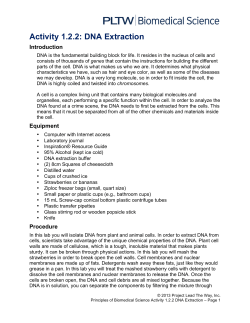 Activity 1.2.2: DNA Extraction