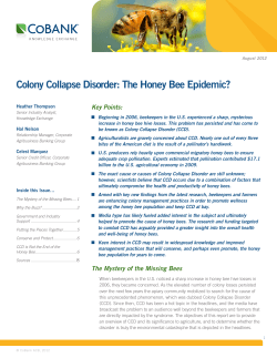Colony Collapse Disorder: The Honey Bee Epidemic?