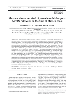 Movements and survival of juvenile reddish egrets Egretta rufescens