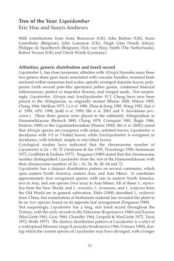 1 - International Dendrology Society