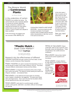 of Carnivorous Plants &ldquo;Plastic Mulch