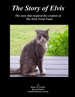 The Story of Elvis - Standish Humane Society