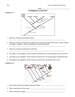 Cladogram Practice