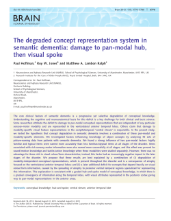 The degraded concept representation system in