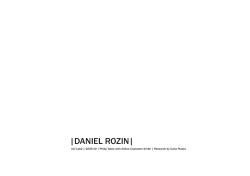 daniel rozin - Interaction