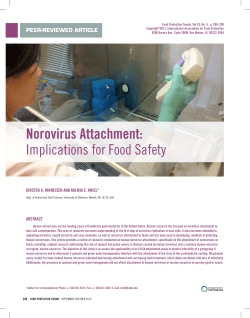 Norovirus Attachment: implications for food safety