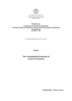 The Constitutional Protection of Local Governments