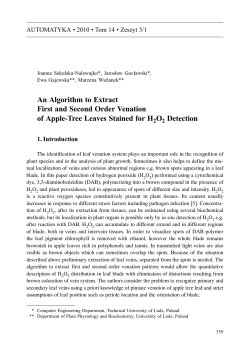 An Algorithm to Extract First and Second Order Venation of Apple