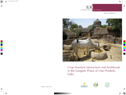 SLP_ResRep_11 - CGSpace