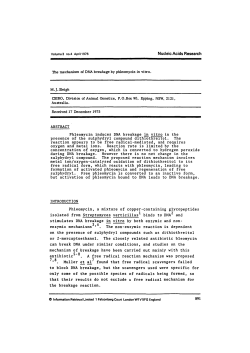 The mechanism of DNA breakage by phleomycin in vitro. M.J. Sleigh