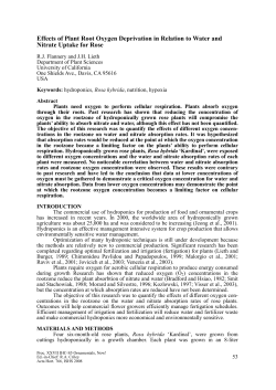Effects of Plant Root Oxygen Deprivation in Relation to Water and