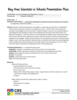 Survival Strategies and Adaptation in Insects