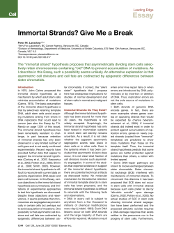 Immortal Strands? Give Me a Break