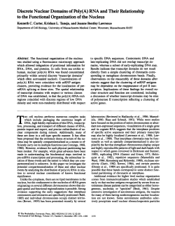 Discrete Nuclear Domains of Pbly(A) RNA and Their Relationship to