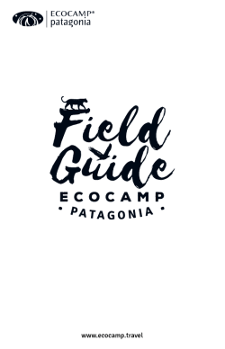 Field Guide (, 3,7M)
