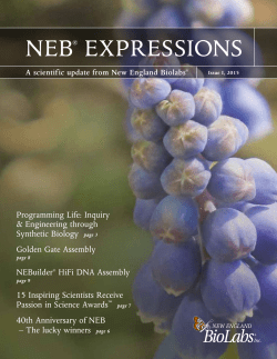 neb&reg; expressions