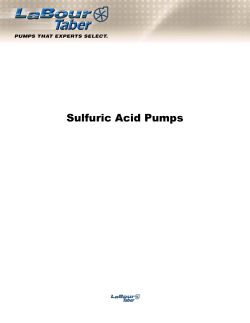 Sulfuric Acid Pumps