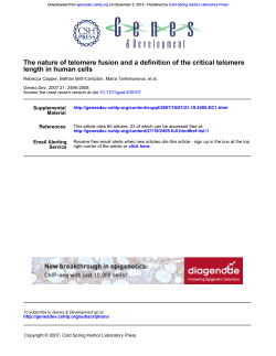 length in human cells The nature of telomere fusion and a