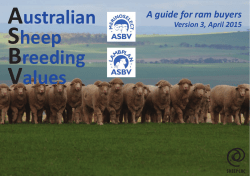 Australian Sheep Breeding Values