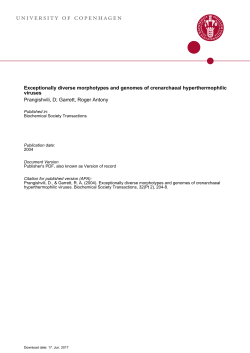 Exceptionally diverse morphotypes and genomes of crenarchaeal