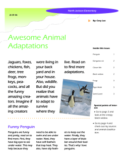 Awesome Animal Adaptations