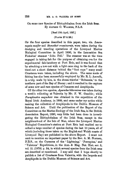 On some new Species of Edriophthalma from the Irish Seas.