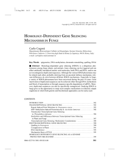 HOMOLOGY-DEPENDENT GENE SILENCING MECHANISMS IN