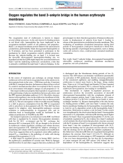 Oxygen regulates the band 3&ndash;ankyrin bridge in the human