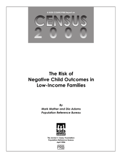 The Risk of Negative Child Outcomes in Low