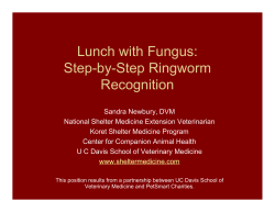 Lunch with Fungus: Step-by-Step Ringworm Recognition