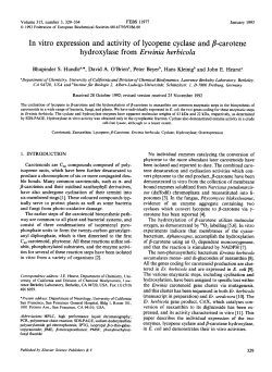 In vitro expression and activity of lycopene cyclase and B