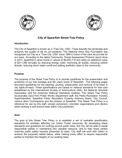 City of Spearfish Street Tree Policy