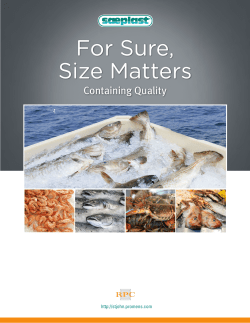 View - Saeplast Americas Inc