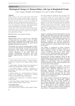 Histological Changes of Human Kidney with Age in Bangladeshi