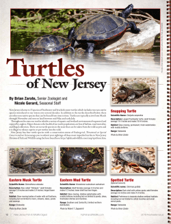Pages 12 - State of New Jersey