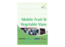 Guidelines on Mobile Fruit and Vegetable Vans