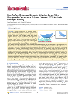 Near-Surface Motion and Dynamic Adhesion