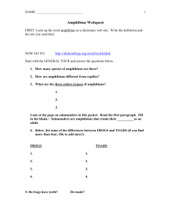 Science 6 Amphibian Webquest