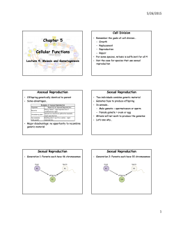 Chapter 5 Cellular Functions