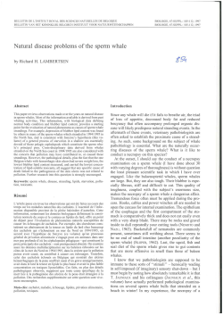 Natural disease problems of the sperm whale