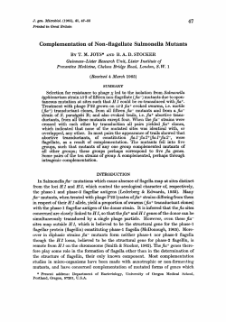Complementation of Non-flagellate Salmonella Mutants