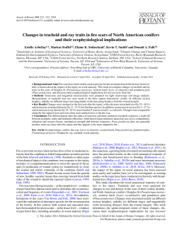 Changes in tracheid and ray traits in fire scars of North American