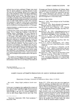 Harpy Eagle Attempts Predation on Adult Howler Monkey