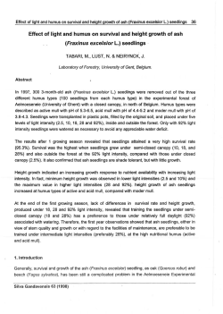 Effect of light and humus on survival and height growth of ash