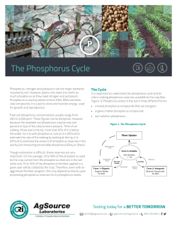 The Phosphorus Cycle - Cooperative Resources International
