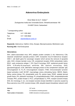 Adenovirus Endocytosis - Institute of Molecular Life Sciences