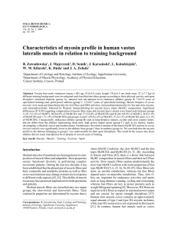 Characteristics of myosin profile in human vastus lateralis muscle in