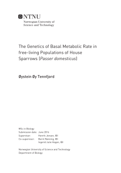 The Genetics of Basal Metabolic Rate in free
