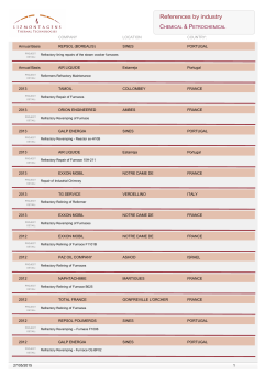 PDF File - Lizmontagens